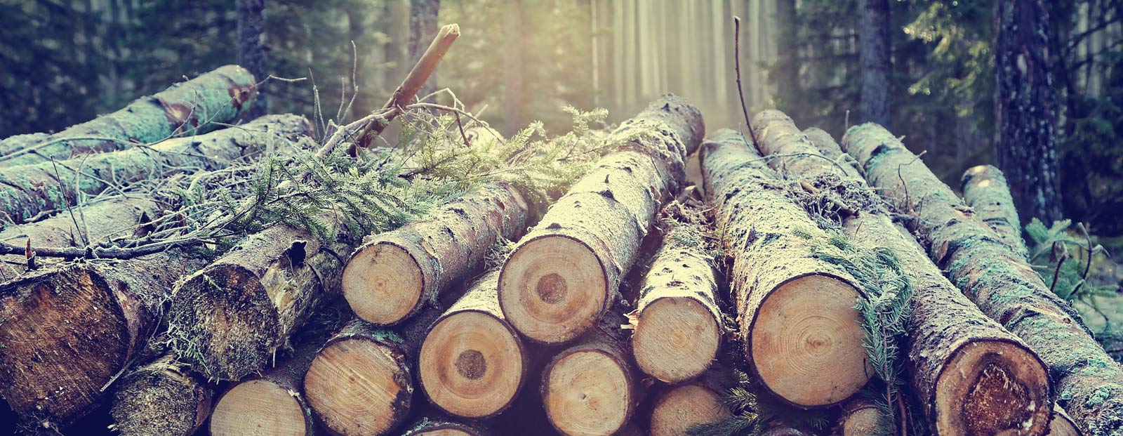 Ihr Heizungskonfigurator